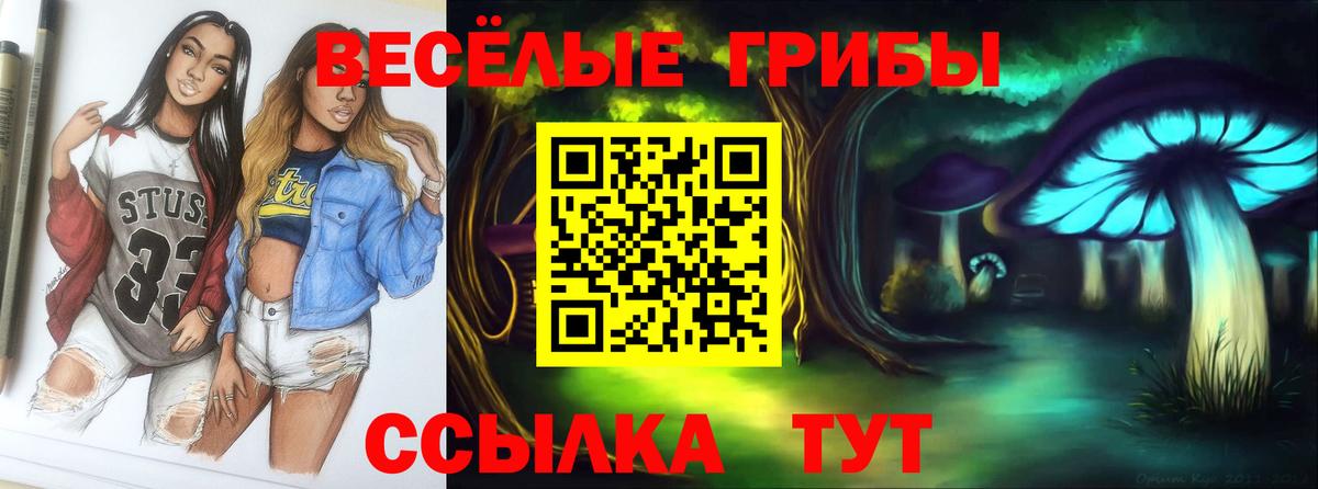 Псилоцибиновые грибы GOLDEN TEACHER Сунжа
